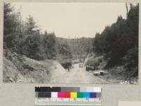 The State Parks Division of the National Park Service is building a fine highway with W.P.A. labor on the Mendocino Woodlands recreation Project. 1937. Metcalf