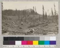 Fresno Dome - 7225 ft. elevation from railroad grade through high lead logging areas of Madera Sugar Pine Company. This area above 6000 feet contains a large percent of fir and in some places much of this has been left on the ground. May, 1925