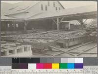 An unusual way of handling lumber from the sorting table. The dead rolls run in fixed bearings. As a pile builds up, it is pushed over the rolls to the transfer car which itself has dead rolls on its deck. Little River Redwood Company, Bulwinkle, California. May, 1920. E. F