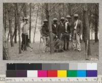 Silviculture Class of 1925 in Monterey Pine Plantation, Siesta Valley, Berkeley Hills. The plantation 15 years old was thinned by taking out alternate rows of trees. Originally a transplant area, 1 1/2 x 4