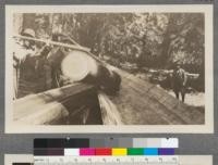 Logging in California. View shows flume with crew rolling log in for transportation to the mill