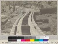 An abandoned spur of the Madera Sugar Pine Lumber Company's logging railroad, showing laminated bridge stringers made of 2 x 10 common planks. The ties have been removed. The picture shows how this form of bridge stringer can be curved to suit the curvature of track. May, 1925