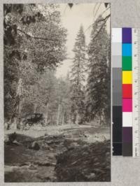 Mill Creek and the crossing of the Mono road. In the picture are Cottonwood, Aspen, Jeffrey pine and possibly a red fir. The Division's new Ford car on the bridge. Elevation 6273'. See also 2650. E. Fritz. June 1925
