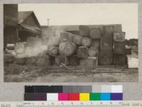 Japanese oak logs in the yard of the Hart-Wood Lumber Company, San Francisco. These logs are hewed square. Many, however are imported in the round. September, 1925