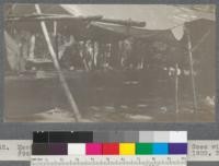 Mess tent and table. Califorest Camp '20. Goes with #943, 944, 945. Meadow Valley, California. August, 1920. E.F