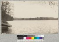 Silver Lake, Susquehanna County, Pa. Hemlock and mixed hardwoods make this an ideal summer resort. Spray of yellow birch twigs in flower at upper right