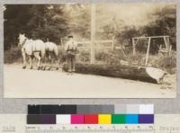 Second Growth Redwood Cutting Experiment, Project #688, Freshwater. Method of skidding logs stump to siding. #8 is a redwood. E. Fritz, June 1923