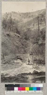 Sides of Mitchell Canyon completely denuded of protective cover by Mt. Diablo fire of July 1931. W. Metcalf - July 1931