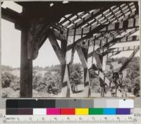 Redwood Region. New sawmill of Sage Land and Improvement Company at Willits, California. In course of construction. See 7087. View to show "ship's knees". Knee braces removed from old Glen Blair mill. Timber to be trucked from Two Rock Creek to east. 6/21/42. E.F