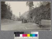 Pile of redwood ties at Comptche, Mendocino County, August, 1921