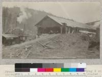 Front end of Percy Brown Sawmill on State Highway, 5 miles above Scotia, California. The Donkey Engine is a roader bringing logs from woods. Logs are dragged into mill. Circular headsaw with band resaw. Front end primitive, rear end modern. Built in 1919. 6-9-23, E.F