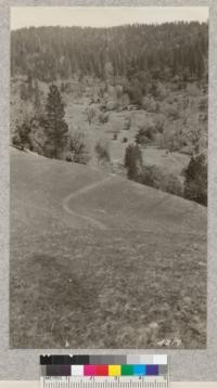 Open glades on Thones Creek, California National Forest, where numerous deer graze in winter. March 7, 1928. H.E.M