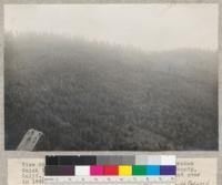 View from Kneeland Prairie road into and over Graham Gulch tributary to Freshwater Creek, Humboldt County, California, 1923. Volunteer young forest on land cut over in 1892. Old growth on ridge crest. Second growth Redwood