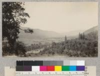 Humboldt County woodland type. Looking north from highway across Hupa Valley and Indian Reservation. The tall trees to right of center are Pinus ponderosa. Nov. 1929, E.F