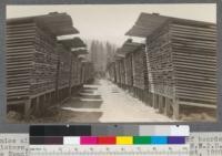 A nice alley of thick pine. Note overhanging roof boards, thick stickers, high foundations. Gray's Flat Yard (on Northwestern Pacific Railroad) of the Spanish Peak Lumber Company, Quincy, California. August, 1920. E. F