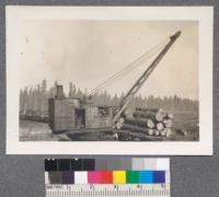 Red River Lumber Company, Westwood, California. Unloading logs at pond