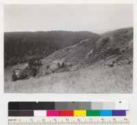 Redwood Region. Looking from Navarro Ridge (about Sec. 34, T16N, R17W) toward mouth of Navarro River. Note timbered north slope (south of River) and untimbered south-facing slope (north of river). Ocean horizon in distance. 6-28-42, E.F