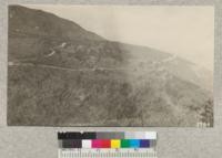 View from ridge across Henninger Flat plantation of Knobcone, Coulter, Aleppo and Monterey Pines, etc., planted in 1905. Metcalf. February 1926