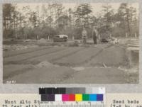 Mont Alto State Forest Nursery, Pennsylvania. Seed beds made up. 4 x 25 feet with 4-5 bushels of charcoal (7-8 bu. On new beds) spaded in per bed (no charcoal used for hardwoods or spruce). The shaded bed at right fall sown 1923. Sand shaker and pressing board at Prof. Perry's feet. Shaker is 18" x 30" with single handle. Red pine seed is covered with sand from pit mixed with charcoal 2-1. Compost is used for covering when weather is dry enough so that damping off is not bad