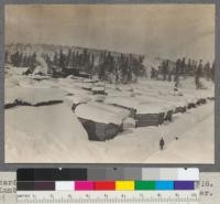 Yards at Hobart Mills, California. View from Shed #18. Clear Lumber yard. T. K. Oliver