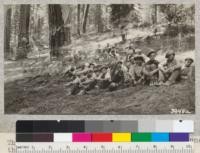 The Merced County Agricultural Club boys under the big pine at Wawona