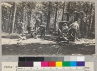 Camp Califorest. A group just returned from side-camp cutting alder wood for the kitchen. E. Fritz, August 1929