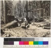 Redwood Region. Tractor and truck logging. Jordan Creek operation. Pacific Lumber Company. One RD-8 Caterpillar arriving at landing with logs; another leaving. One White Truck and Reliance trailer being loaded with McLean boom and Cummins Diesel Donkey loader (not shown) and two trucks waiting. Congestion due to delay in repairing loading donkey. 6-11-41. E.F