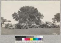 Rural Fire Trucks in line at Annual check-up of equipment, Yolo County, April, 1930