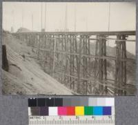 The Pacific Lumber Company trestle at Freshwater showing bracing. D. Bruce Sept. 1922