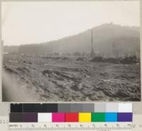 Pacific Lumber Company, stump field south of Scotia yards after clearing and piling the stump wood. January, 1936. E. F