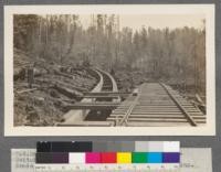 C. A. Smith Lumber Company. Camp 2 near Marshfield, Oregon. Switchback of logging road. Grade on left 4.5%. Grade on right, below level is 5% to the landing