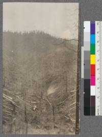 Mendocino Lumber Company logging operations near Mendocino, California. About 1/2 mile from J. R. Smith Ranch on county road. Looking down a narrow gulch across main track and up another gulch. See tracks. Note yarder in foreground. April, 1921. E.F