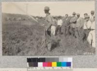 Using 9/16" spray hose and spray gun with shade tree tip. Sonoma County. Metcalf. 1929