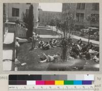 Undergraduate noontime seminar staged by students each Tuesday outside of Giannini Hall, to talk over forestry and job matters amongst themselves. See also #5799 and 5800. April 1935, E.F