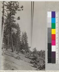 The lumber carrying tramway of the Spanish Peak Lumber Company near Camp Califorest. A view taken from one of the slings sustained from the cable, showing the intermediate supporting tackles and also a package of lumber on the other wire. July, 1926