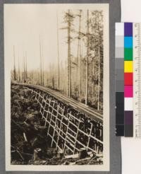 A common type of high trestle on logging railroads