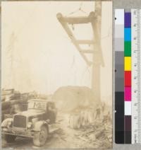 Redwood Region. Loading a "White" truck with McLean boom. Straps are used on logs too large for tongs. See also 6062, 6063. Hobbs, Wall and Company, Crescent City, California. 8-20-36. E.F