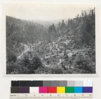 Redwood region. Operations of Holmes Eureka Lumber Company. Truck road up Salmon Creek. Camp is seen in lower left corner. Winding roads are tractor trails for logging off the "point" in 1943. Looking east. 6-30-43. E.F. Photo also shows residual stand