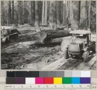 Loading to trucks on selective logging area near Carlotta. Hammond Company. See also # 5803-5809. May 1935. E.F