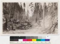 Redwood Region. Loading a truck at Holmes Eureka Lumber Company's Boy Scout Camp operation. Trees left standing as a result of selective logging. August 1936. E.F