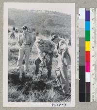 Bill Hartman, Forester of EBMUD, shows Harry Fowells (left) and Charles Kreabel (right) how the square planting dibble works. It does not do well in clay soils. Metcalf. Jan. 1953