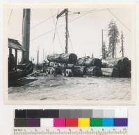 Redwood Region. Loading redwood logs on trucks at William Hess' landing on Elk River. See also #7098-7101. 5-13-42, E.F