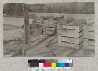 Shipping boxes with 15M 2-0 trees at Higgins Lake Nursery Michigan weigh about 350-400 lbs. each. Lantern Slide made