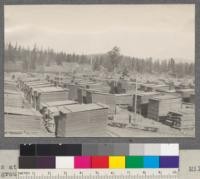 Yards at Hobart Mills, California. View from dry shed. Mill in background