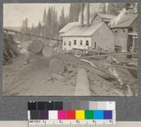 Spanish Peak Lumber Company. Unloading motor truck at pond. 1920