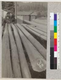 Second growth redwood poles in the yard of the local power company in Guerneville, California. June 1924, E.F