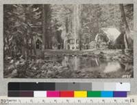 Tents, bathhouse and pool, Califorest Camp. August 1926