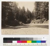 Redwood Region. Big River. View from crossing of state forestry road at Byrnes' Camp, looking upstream. Young timber from "river logging." Sec. 23, T17N, R16W, Mendocino County. 6-15-42, E.F