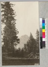 View of Mount Broderick from the open forest of Jeffrey and Sugar Pines along the Illilouette Creek Trail. Mr. Toasbern of the Alameda Police Department accompanied the party on this portion of the trip. Metcalf, 1925