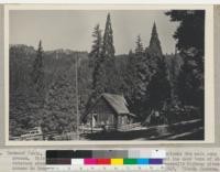 Redwood cabin, the caretaker's residence at Whitaker's Forest overlooks the main camp ground. This view showing slender spires of young sequoias and the dead tops of old veterans shows Park Ridge in the background along which the General's Highway gives access to Grant Grove and King's Canyon National Park. November, 1948